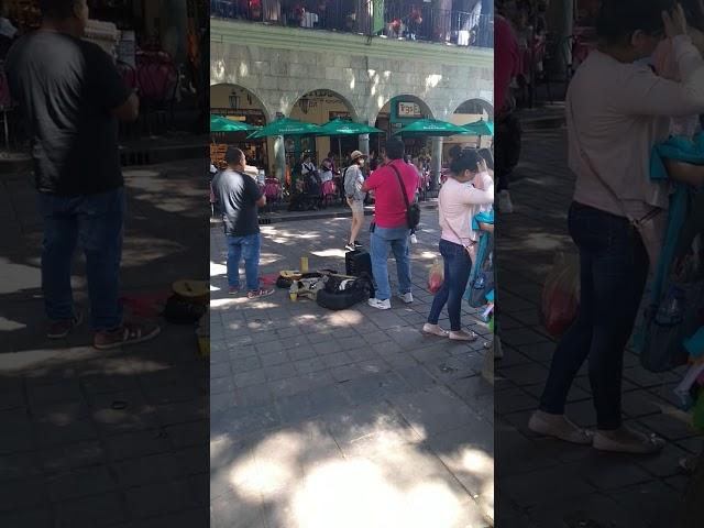 Zócalo de oaxaca