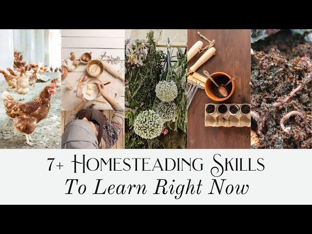 7+ Homesteading Skills to Learn Right Now | Preparation Mode for Dream Homestead | Master Skills