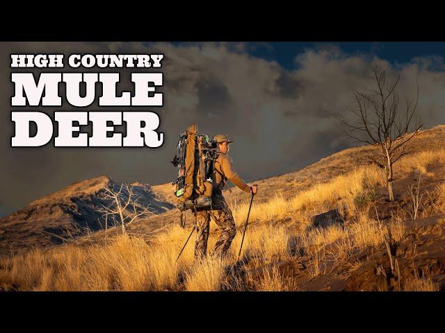 High Country Mule Deer - Utah Archery Hunt | 4K FILM