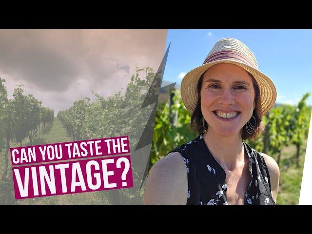 Why Wine Tastes Different Every Year  Vintage Explained