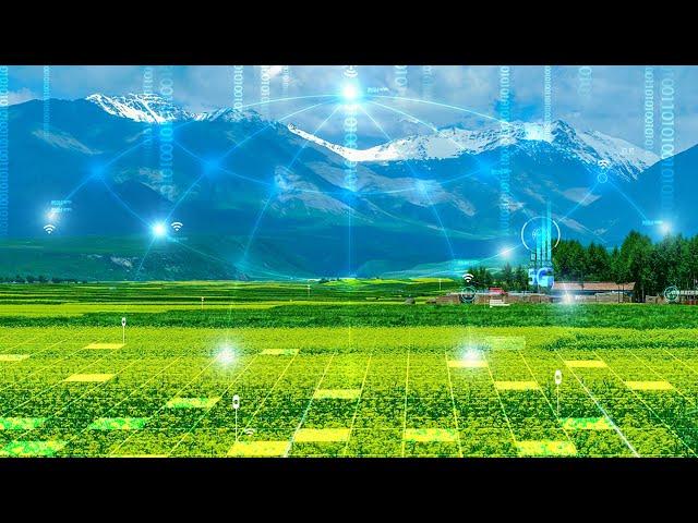 China's agriculture in the new era