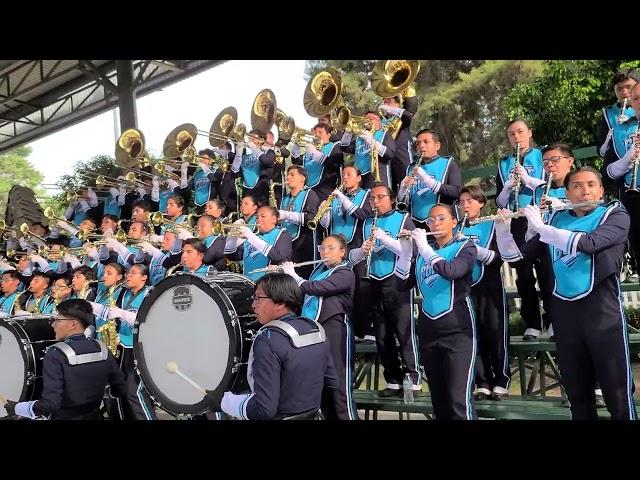 Lobos BUAP Marching Band (Cold Hearted)