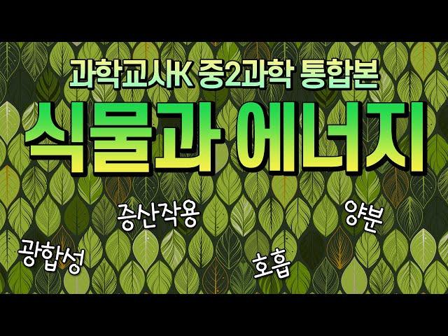 [과학교사K] 식물과 에너지 (통합본)