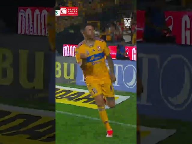 ¡El pedazo de gol de André-Pierre Gignac!