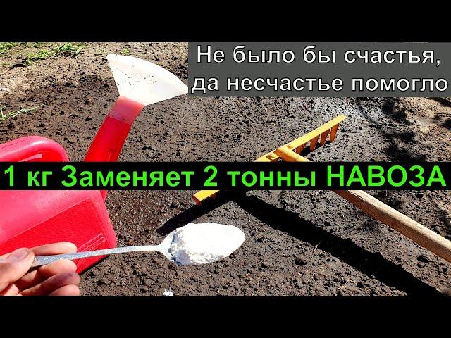 1 Ложку ... и лейку воды земля как новая, посыпте этим землю осенью для обильного урожая всего!