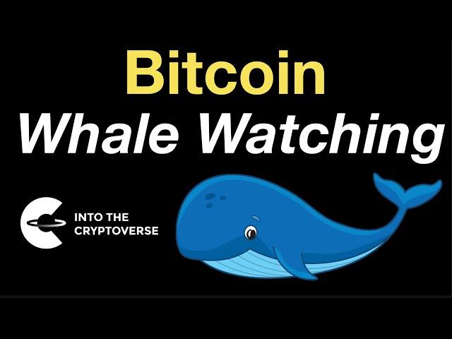 Bitcoin: Whale Watching