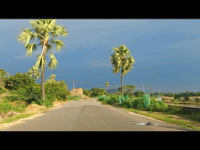 Village Nature View | Drive in Nature | Nature WhatsApp Status | Village Nature Beauty  