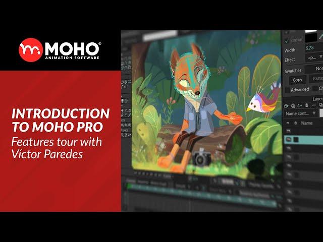 Introduction to Moho Pro - Features Tour with Víctor Paredes