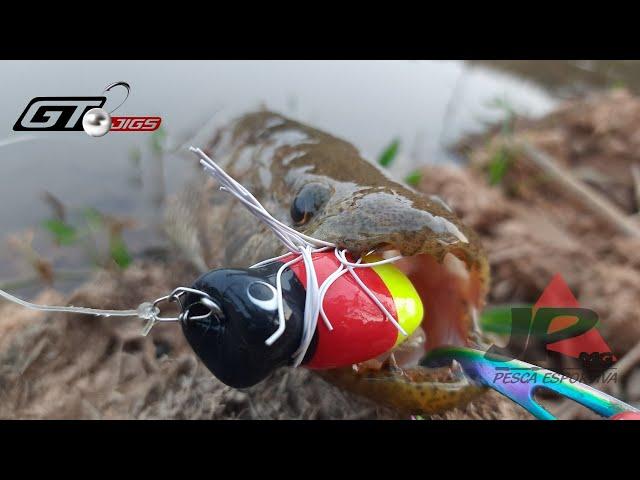 PESCA DE TRAIRÃO COM FROGS, GT JIGS EM AÇÃO. É BATIDA NA SUPERFÍCIE.