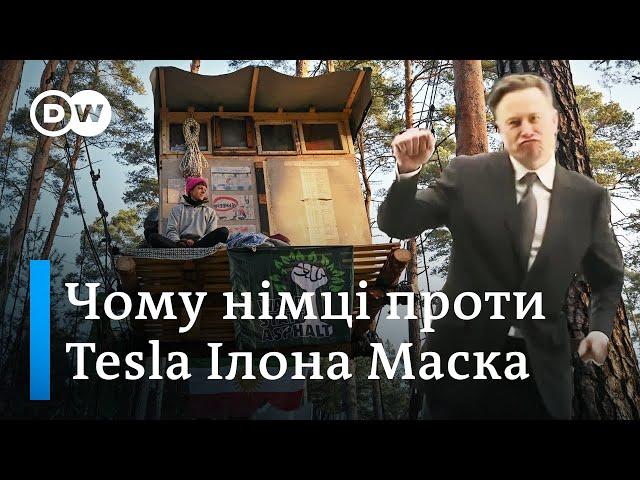 "Зупиніть Tesla": чому німці проти розширення заводу Ілона Маска | DW Ukrainian