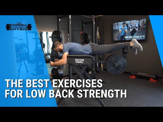 Best Exercises for Low Back Strength