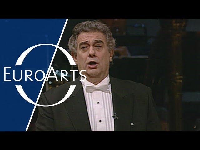 Famous Opera Arias with Plácido Domingo & Friends: The Gold & Silver Gala (1996)