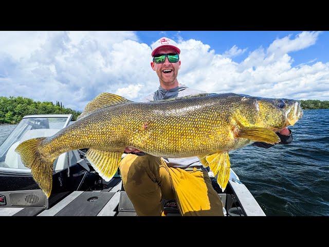 Giant Walleye of Lake of The Woods! (Featuring John Hoyer)