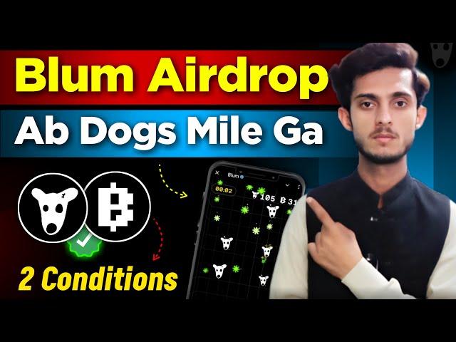 Dogs Not Showing in Blum Problem Solved | How to Get Dogs in Blum Airdrop | Blum Airdrop Update