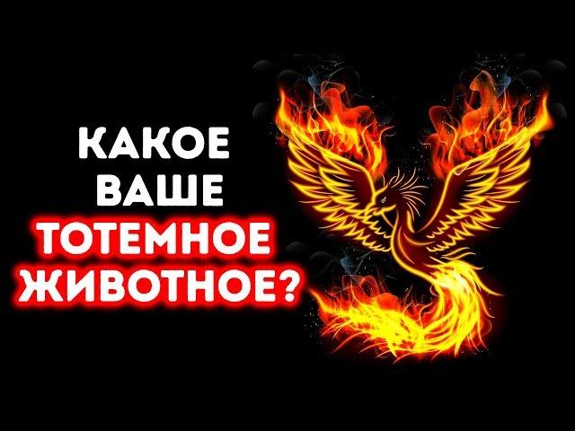 Какое Тотемное Животное — Ваше?