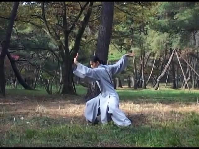 Poong Ryu Son Do - Level 1