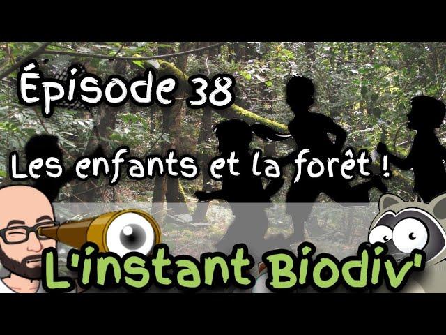 Ep38 Les enfants et la forêt ! ( idées d'activités à faire en forêt )