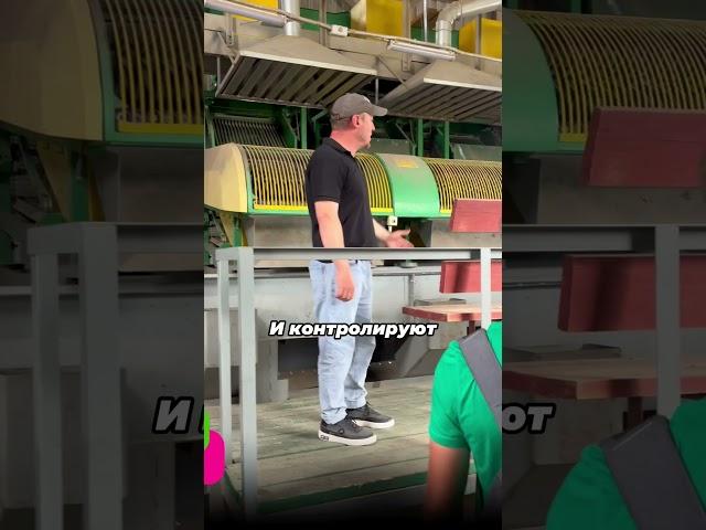 #агробизнес #сельскоехозяйство #северныйкавказ #агрономия #нальчик #агроном #agriculture #огород
