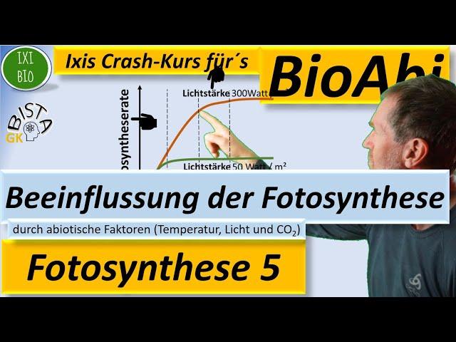 Beeinflussung der Fotosynthese (Photosynthese) durch abiotische Faktoren (Temperatur, Licht, CO2)