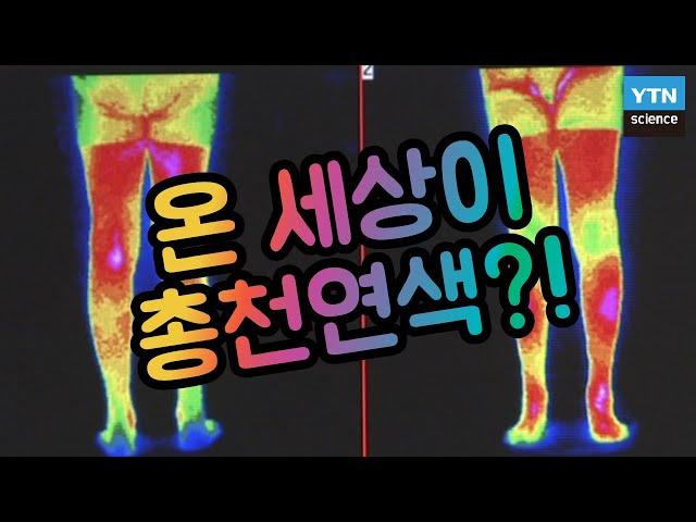 [핫클립] 적외선을 볼 수 있는 동물이 있다? / YTN 사이언스