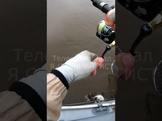 Машу как на зимней рыбалке