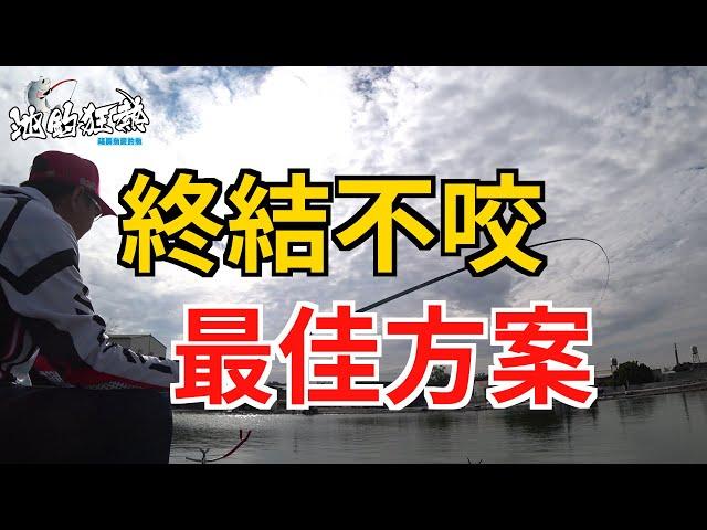 【大川休閒池釣福壽魚】你曾經因為釣不到魚而想放棄釣魚嗎?給你一個終結不咬的最佳解決方案,讓我們一起池釣狂熱吧@cdkr