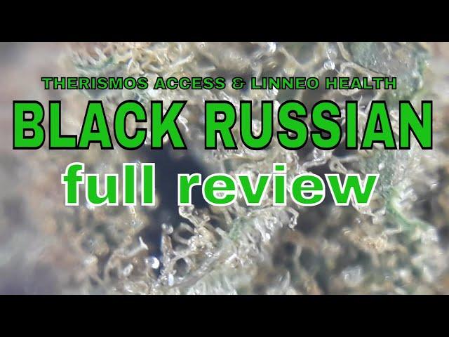 BLACK RUSSIAN | Linneo Health & Therismos Access | £5.50/g | FULL REVIEW