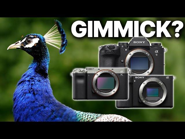 How GOOD is Sony's NEW AI Autofocus? | Jason Vong Clips