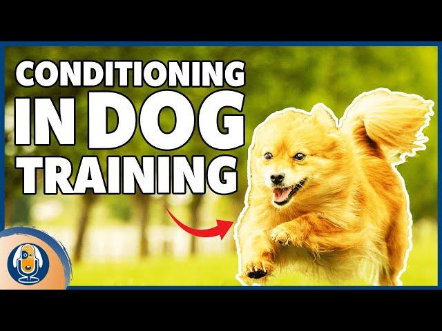 Conditioning In Dog Training: Why A Recall And Positive Interrupter Are Different #161 #podcast