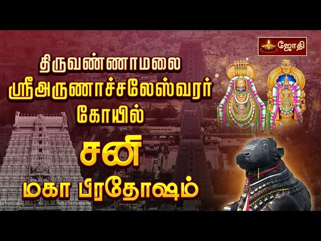 திருவண்ணாமலை ஸ்ரீஅருணாச்சலேஸ்வரர் கோயில் | சனி மகா பிரதோஷம் | Maha Sani Pradosham | Jothitv