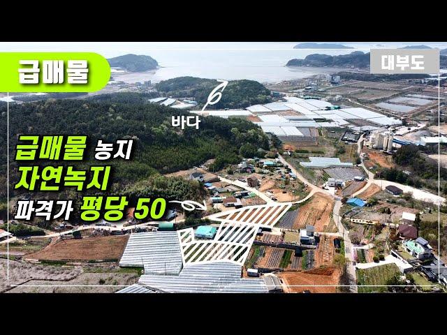 (급매 No.1152) 급매물 농지!! 자연녹지 평당50 파격가  / 대부도부동산