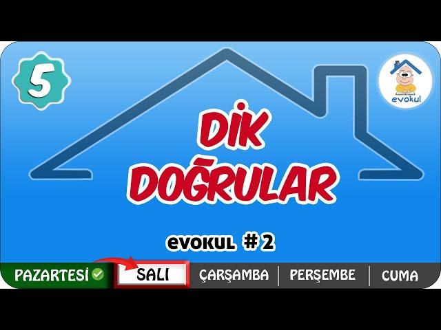 Dik Doğrular | 5.Sınıf #uzaktanegitim #evokul Kampı