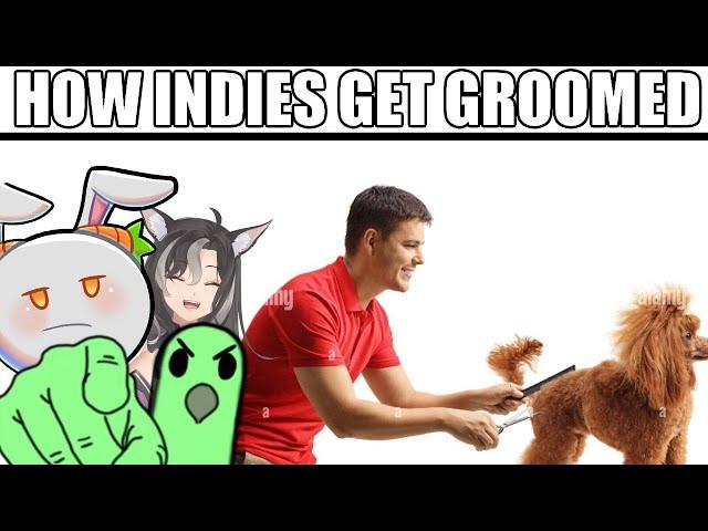 Parrot Explains How Small Indie VTubers Get Groomed