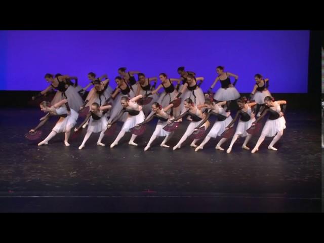 Vaganova Dance Society - Don Quixote