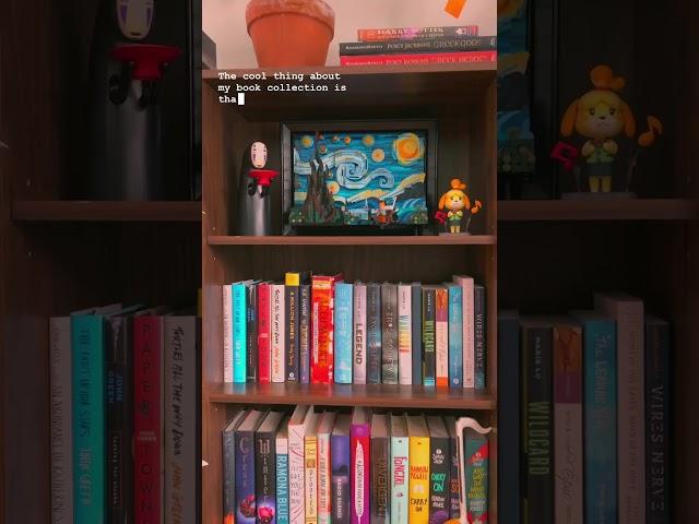 Beautiful Bookshelf