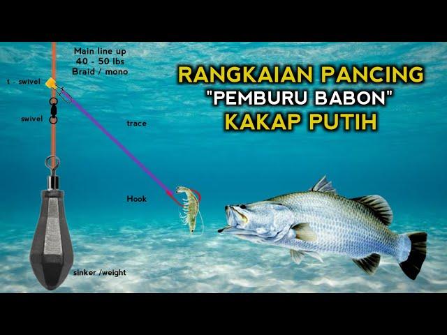 Jangan SALAH ... Membuat rangkaian pancing kakap putih