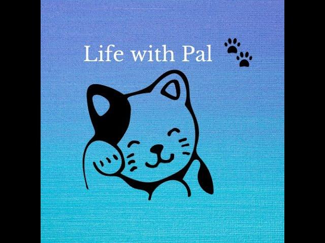 Welcome to Life with Pal