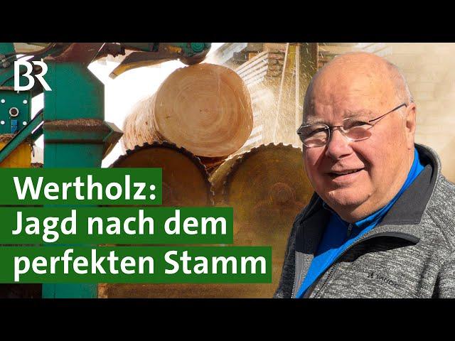 Versteigerung im Wald: Sägewerk kauft Stämme für Dielen und Bretter | Unser Land | BR