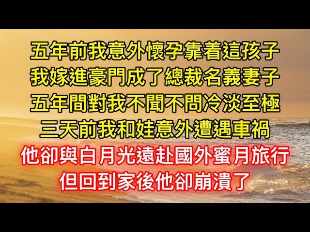 五年前我意外懷孕靠着這孩子，我嫁進豪門成了總裁名義妻子，五年間對我不聞不問冷淡至極，三天前我和娃意外遭遇車禍，他卻與白月光遠赴國外蜜月旅行，但回到家後他卻崩潰了