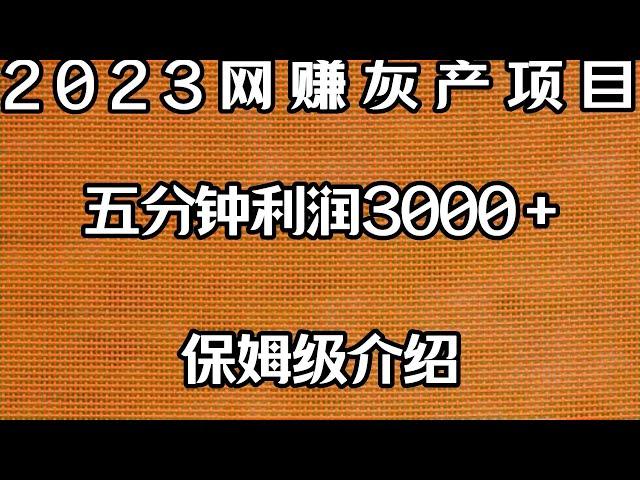 2023灰产网赚USDT搬砖暴力项目，保姆级教程教你十分钟网赚3000元     （招代理）