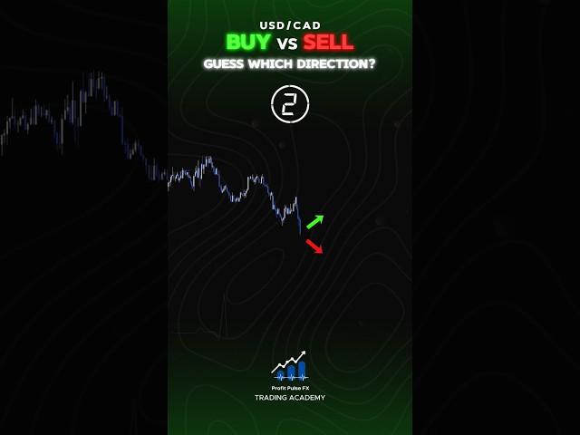 Profitable Trading Results  BUY SELL
