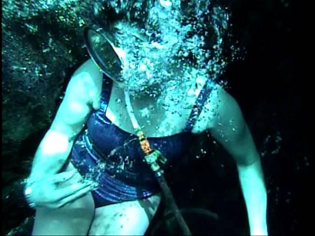 Weeki Wachee Deep Dive