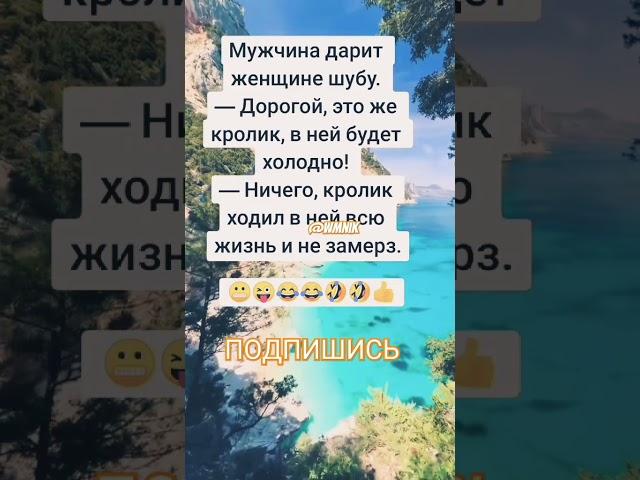 Анекдот про кролика