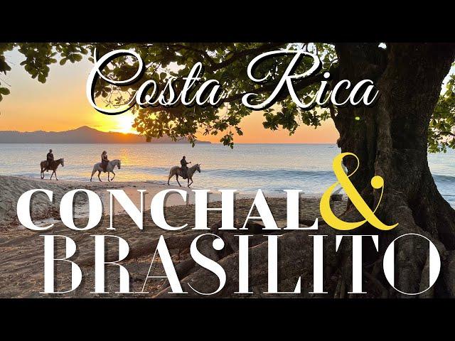 Brasilito and Conchal Beaches  II  Costa Rica 4K  II  Travel Guide   II   BEST OF GUANACASTE