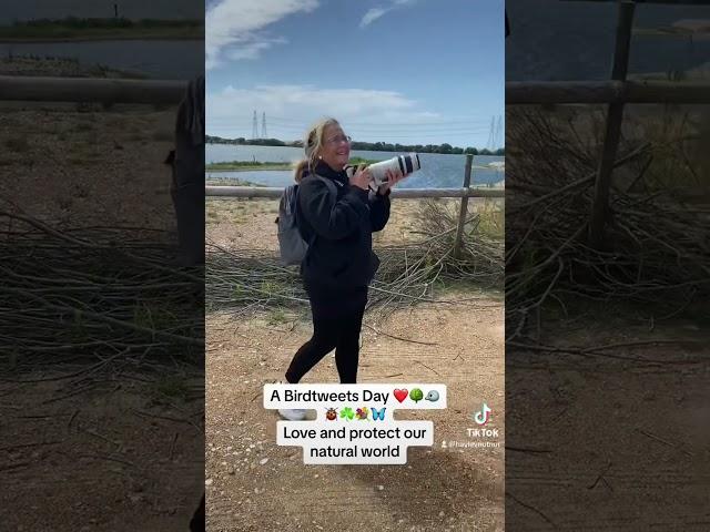 Rspb Dungeness wildlife and bird walk in nature