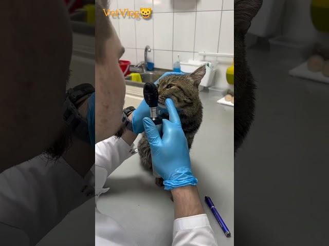 Неврологический осмотр 