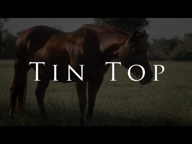 Tin Top - Official Season 1 Trailer coming to HORSEpro TV and YouTube