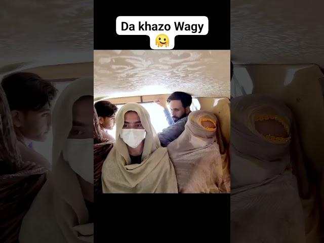 buner vines Pashto videos PK vines for 2025