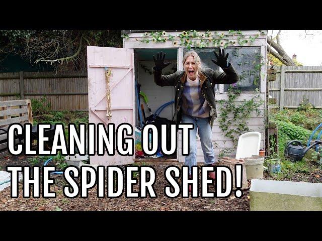 CLEANING OUT THE SPIDER SHED! / ALLOTMENT GARDENING UK