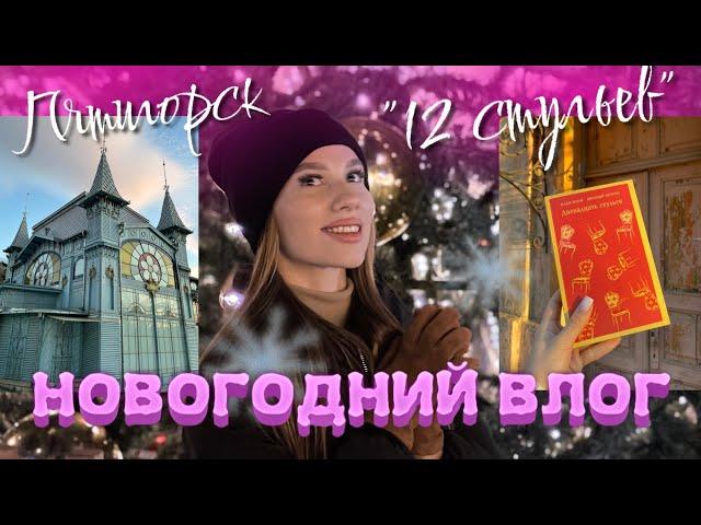 Новогодний книжный влогПятигорск и «12 стульев» 🪑 РОЗЫГРЫШ 